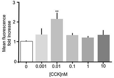 Sulfated Cholecystokinin-8 Promotes CD36—Mediated Fatty Acid Uptake into Primary Mouse Duodenal Enterocytes